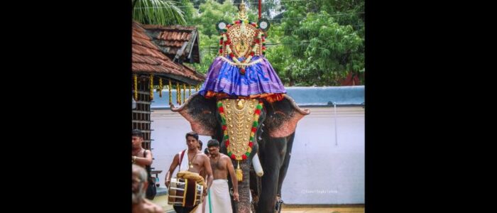 Thiruvarppu Sreekrishna Swami Temple Festival