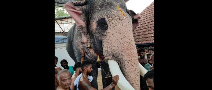 Thiruvarppu Sreekrishna Swami Temple Festival